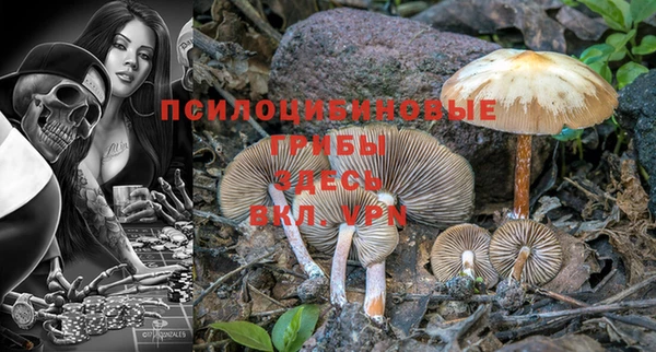 тгк Пролетарск