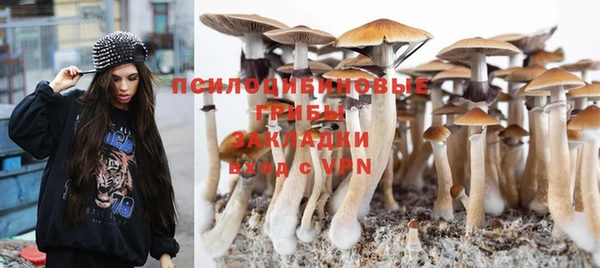 тгк Пролетарск